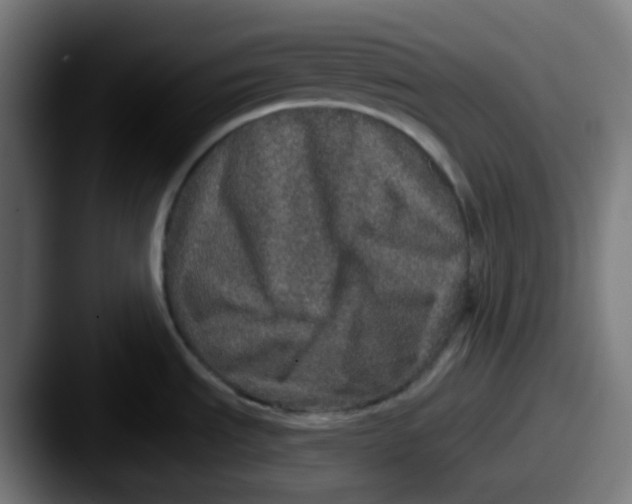 X0000087571535200705181134