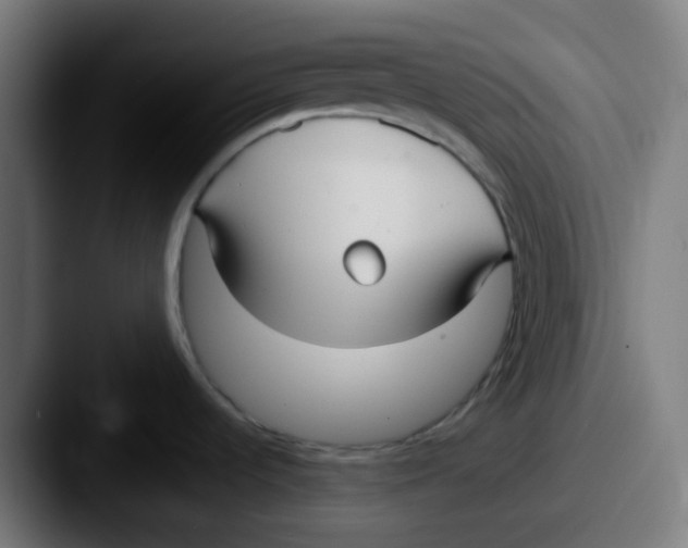 X0000087571536200705181134