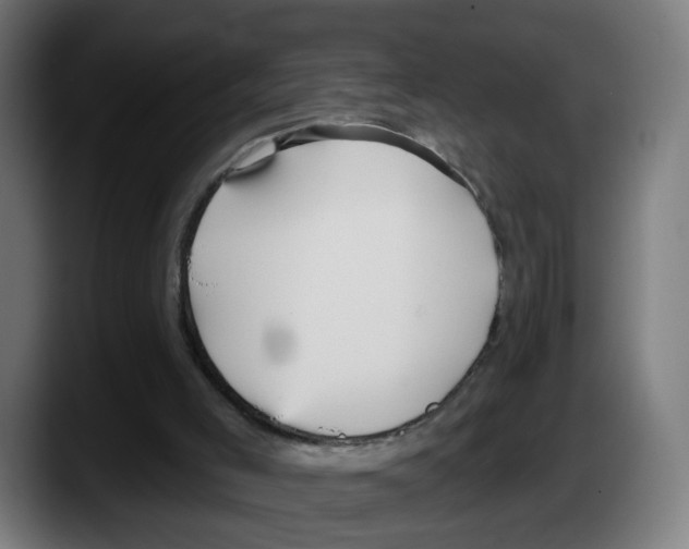 X0000087570005200705251830