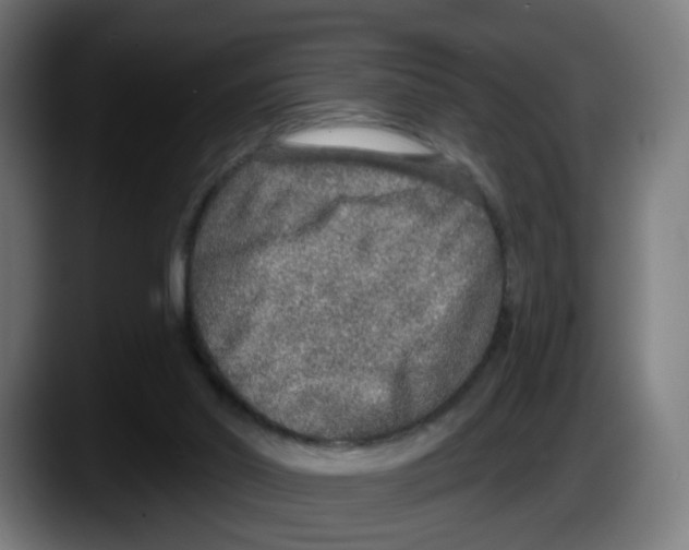 X0000087570014200705251830