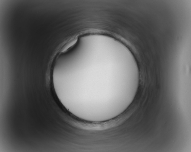 X0000087570015200705251830