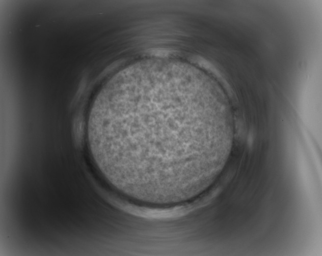 X0000087570016200705251829