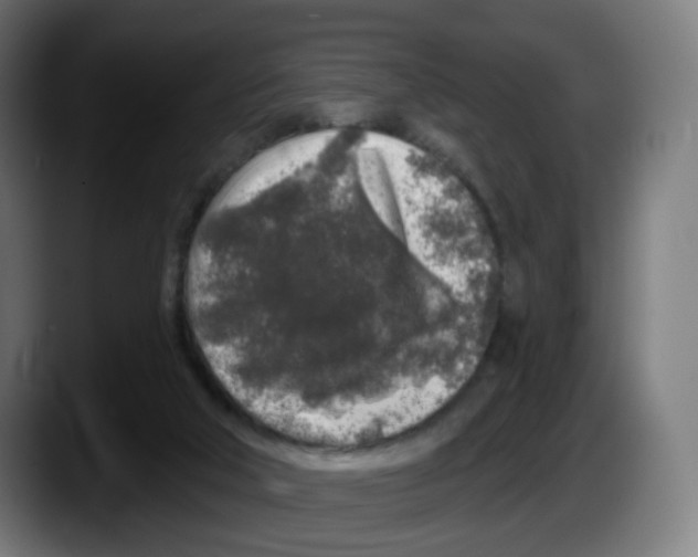 X0000087570018200705251829