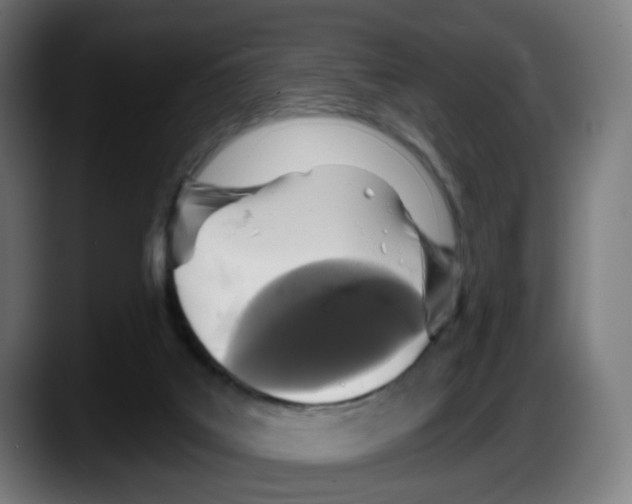 X0000087570019200705251829