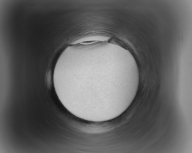 X0000087570020200705251829