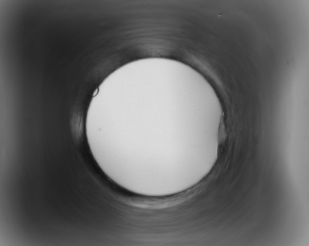 X0000087570021200705251829