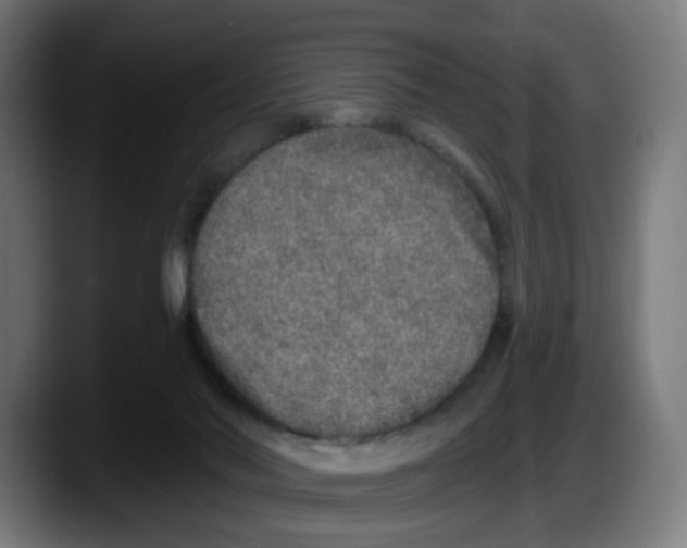 X0000087570022200705251829