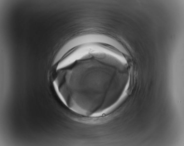 X0000087570023200705251829