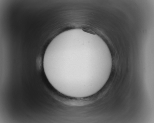 X0000087570024200705251829