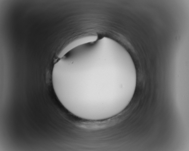 X0000087570025200705251829