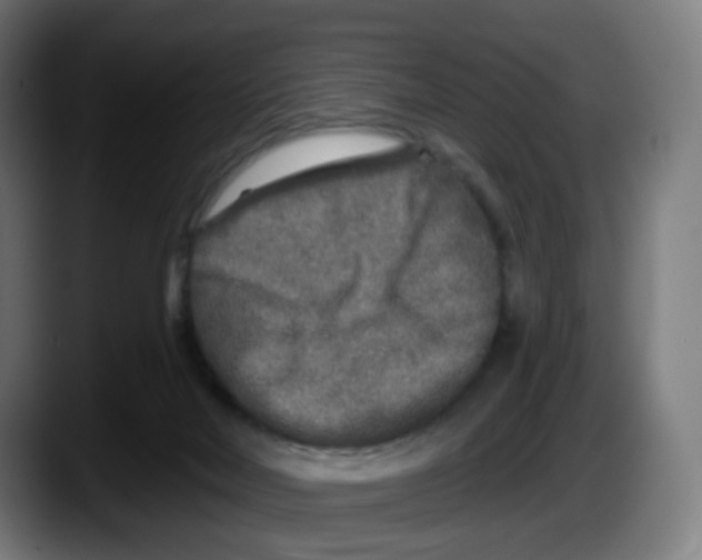 X0000087570026200705251829