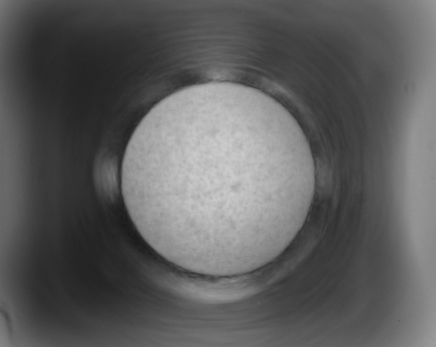 X0000087570028200705251829