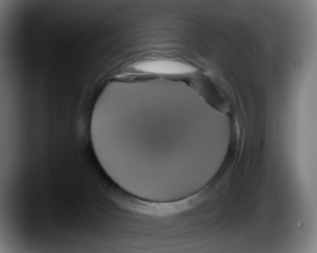 X0000087570031200705251829