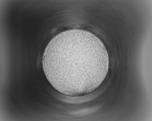 X0000087570034200705251829