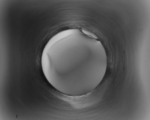 X0000087570035200705251829