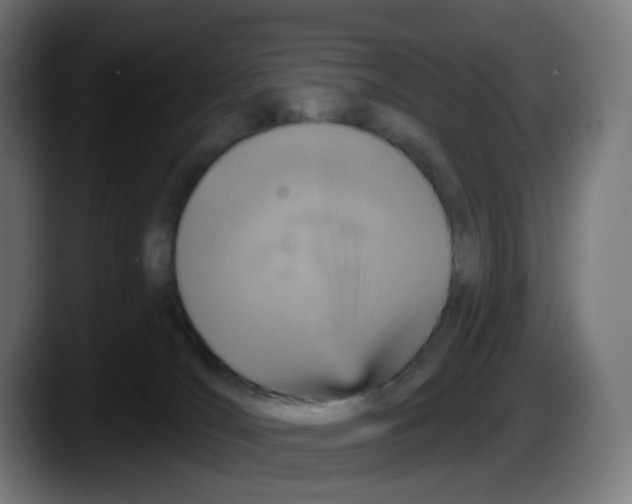 X0000087570036200705251829