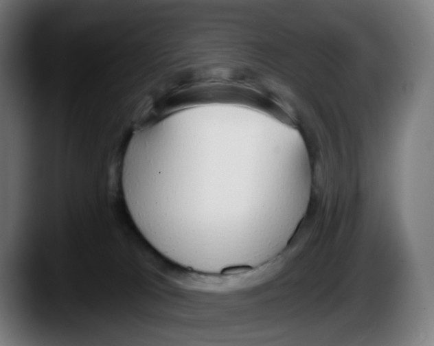 X0000087570037200705251829