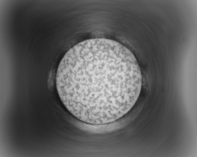 X0000087570038200705251829