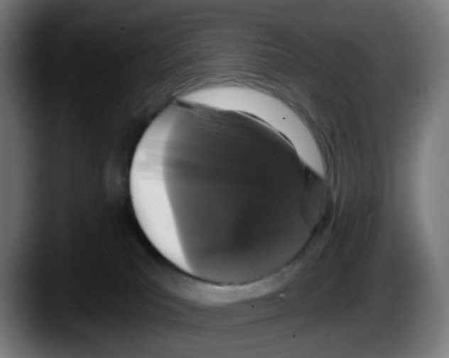 X0000087570039200705251829