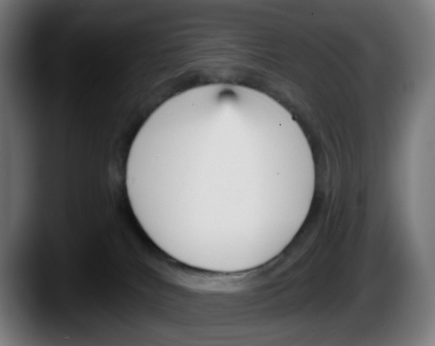 X0000087570040200705251829