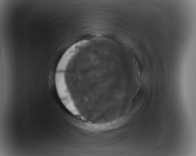 X0000087570043200705251829