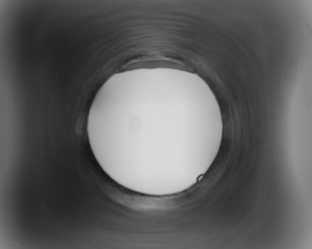 X0000087570044200705251829