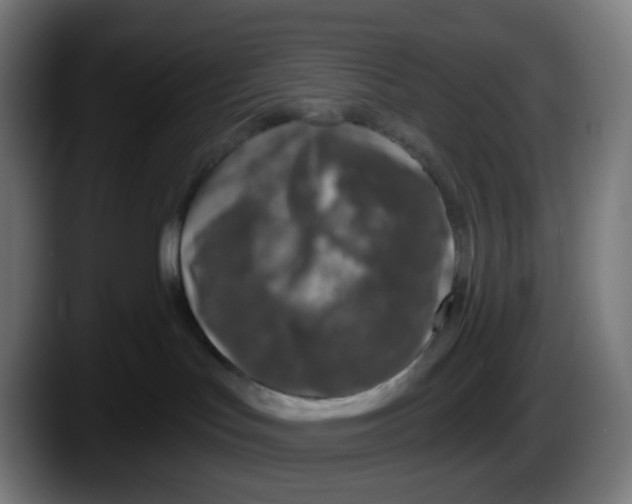 X0000087570047200705251829