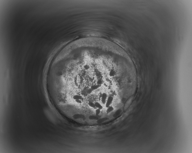 X0000087570049200705251828