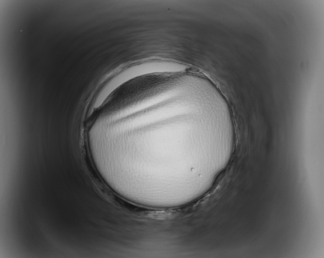 X0000087570050200705251828