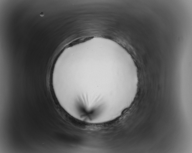 X0000087570051200705251828