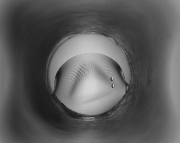 X0000087570052200705251828