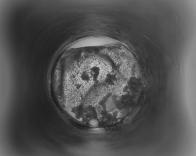 X0000087570053200705251829