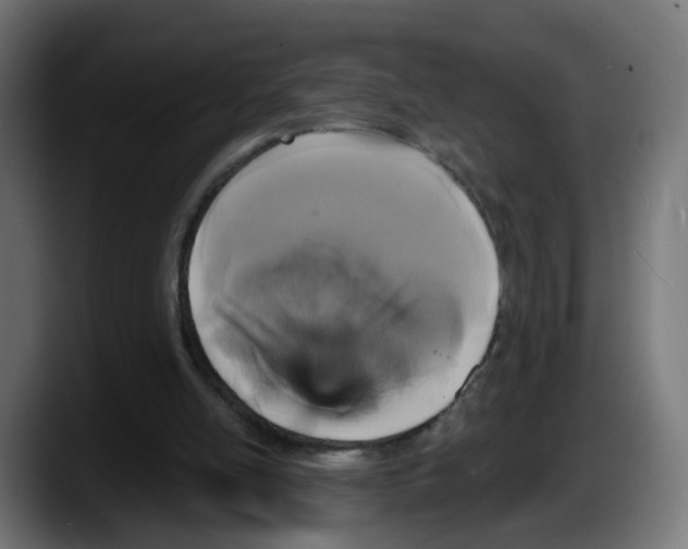 X0000087570054200705251829