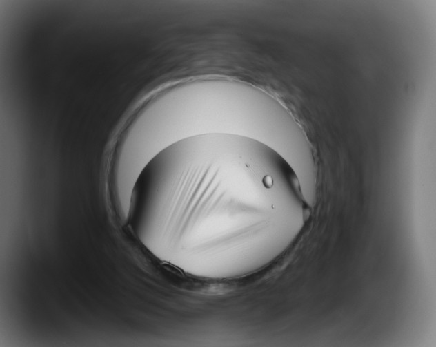 X0000087570056200705251829