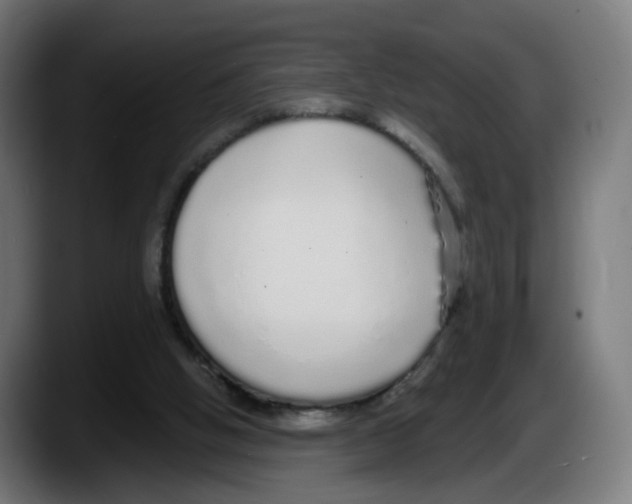 X0000087570058200705251829