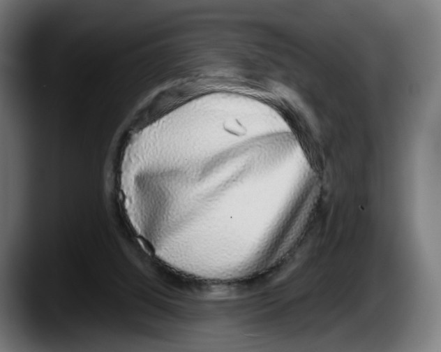 X0000087570060200705251829