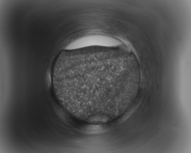 X0000087570061200705251829