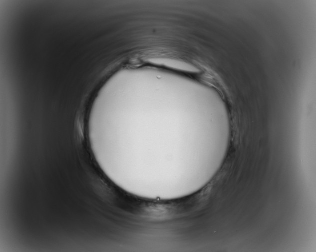 X0000087570062200705251829