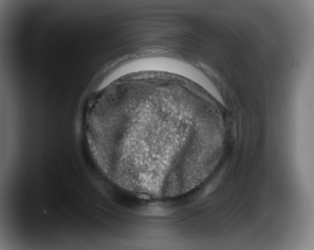 X0000087570064200705251829