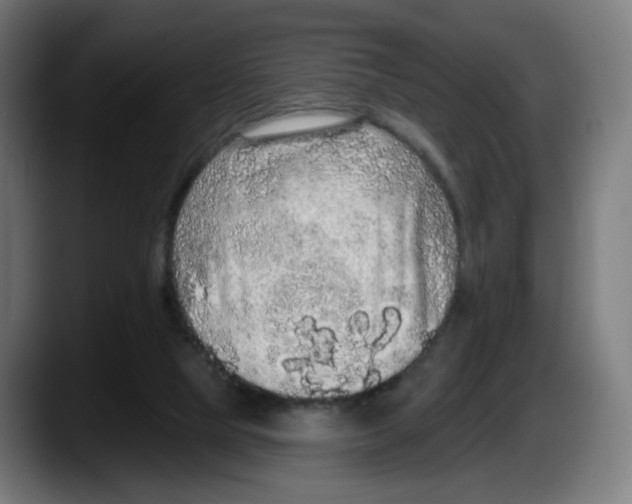 X0000087570065200705251829