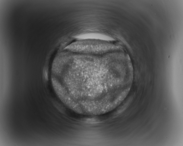 X0000087570068200705251829