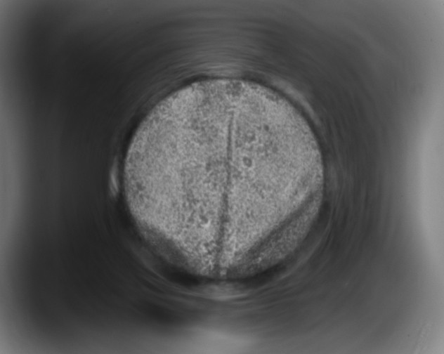 X0000087570069200705251829