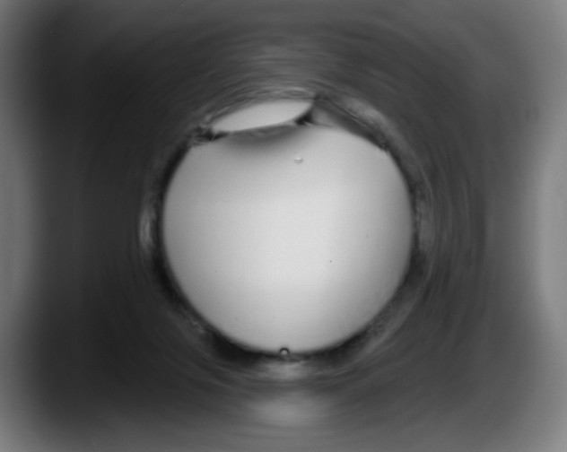 X0000087570071200705251829