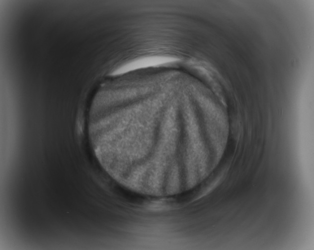 X0000087570072200705251829