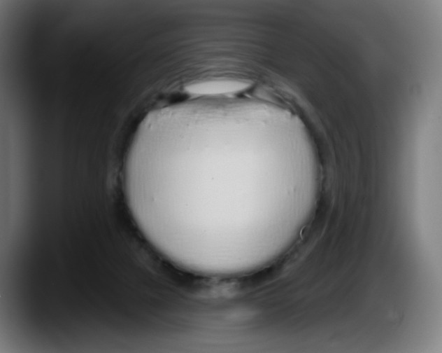 X0000087570073200705251829