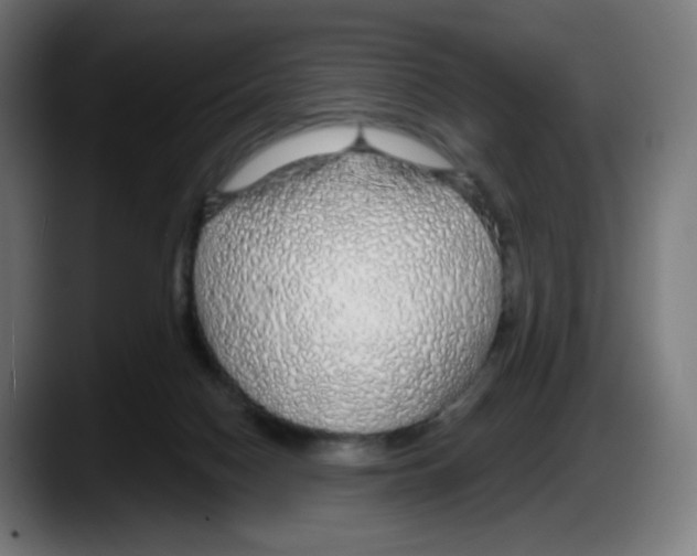 X0000087570074200705251829