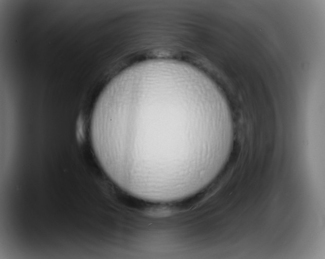 X0000087570075200705251829