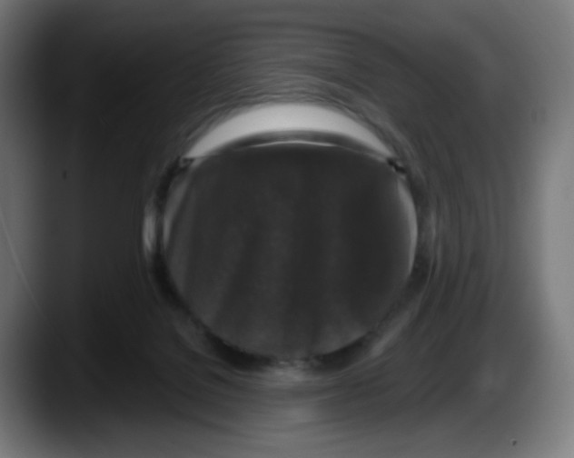 X0000087570076200705251829