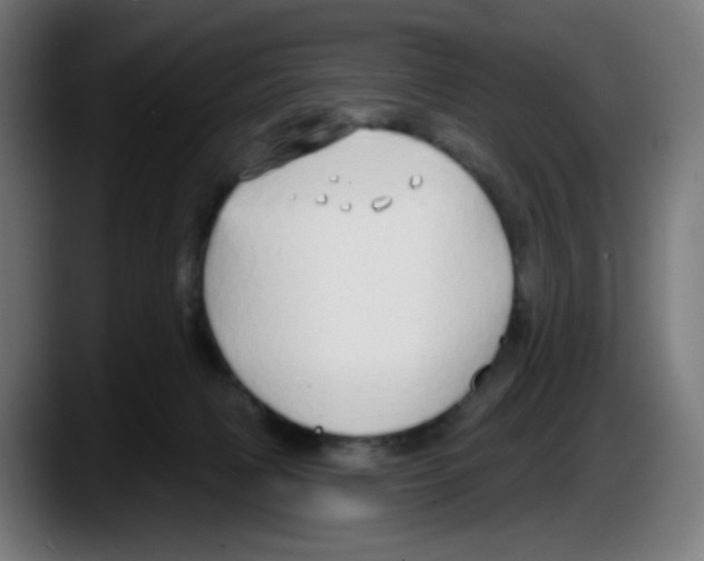 X0000087570079200705251829