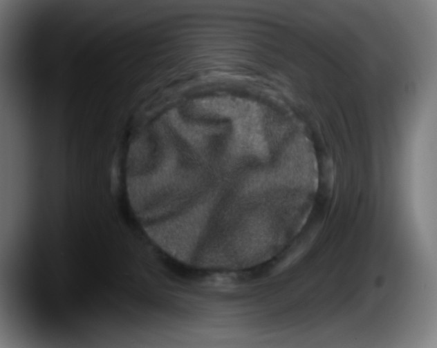 X0000087570080200705251829